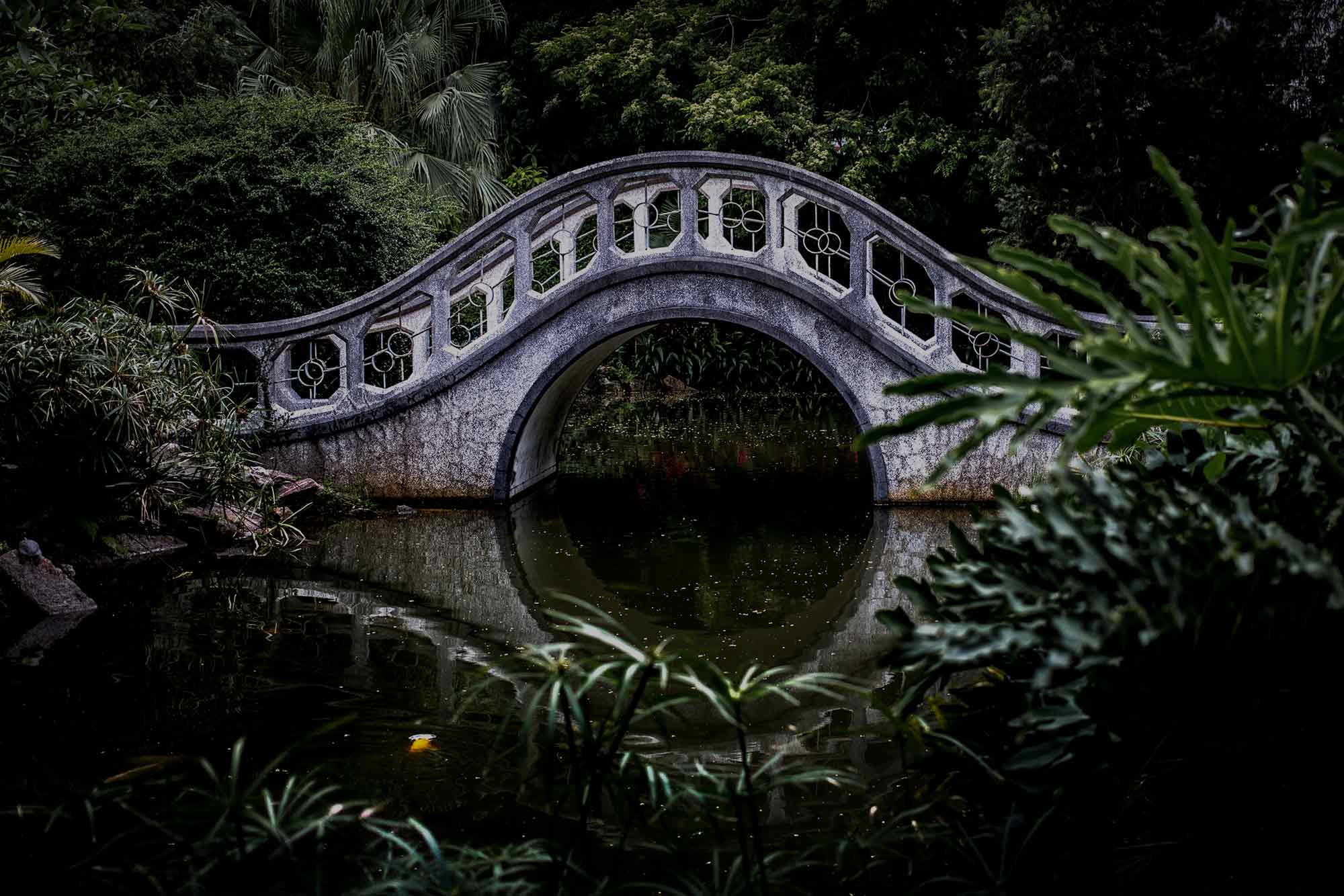 bridge pond